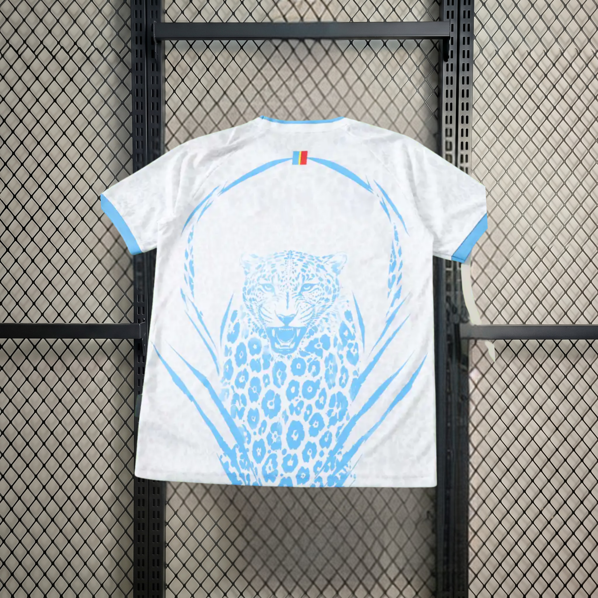 Congo away 2026