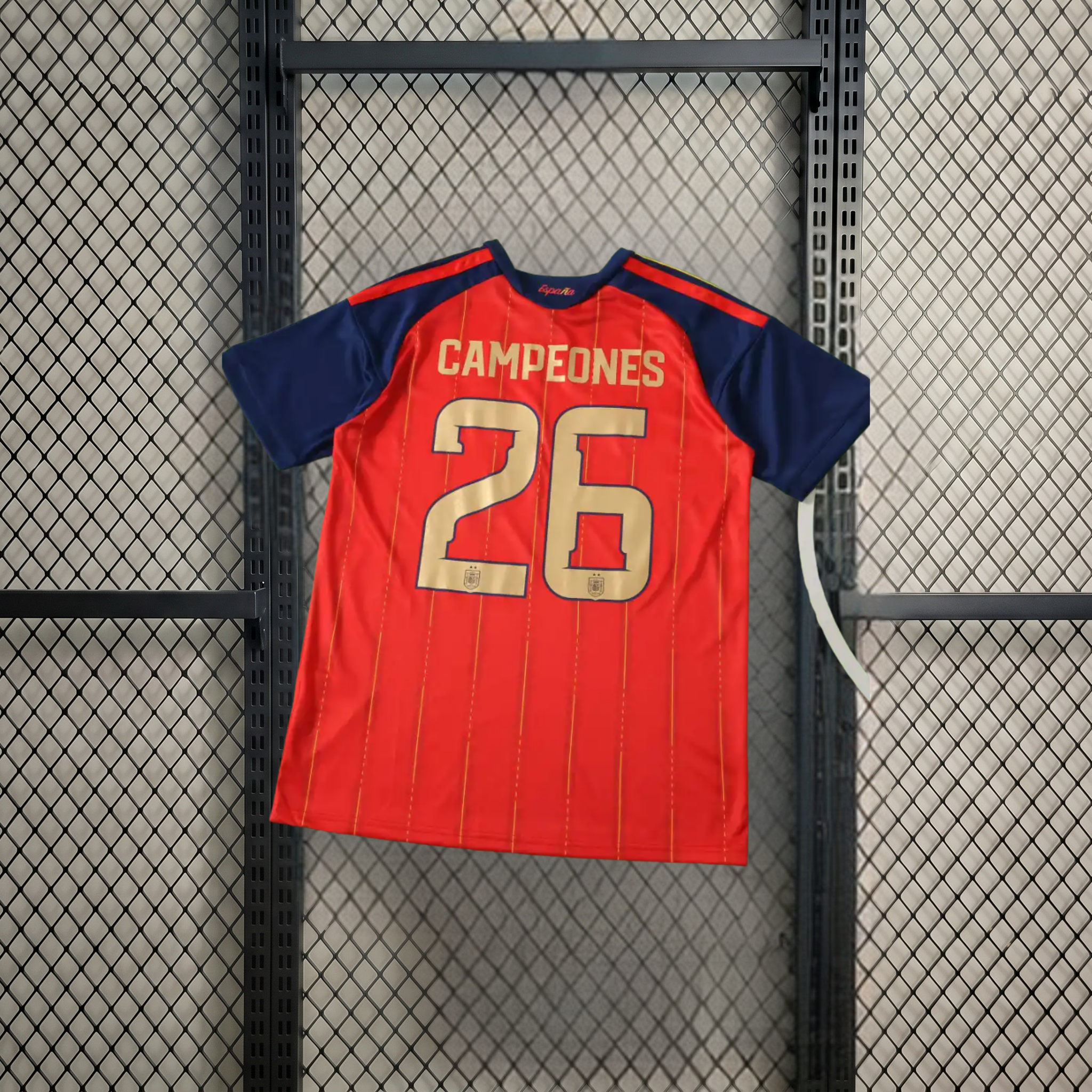 Spain champion home 2026